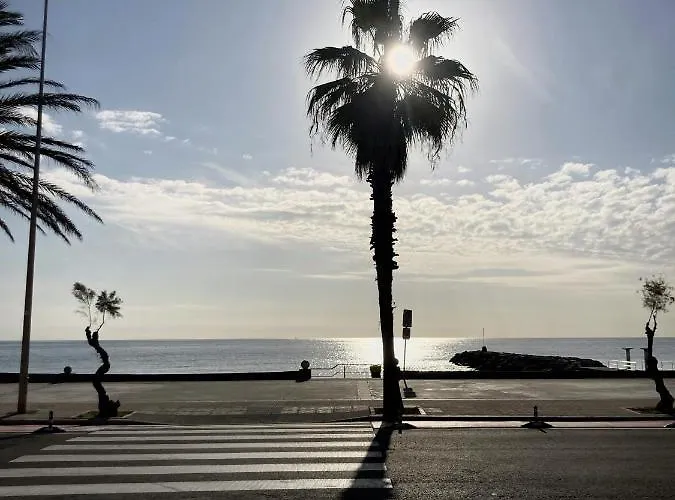 Globos By Hello Homes